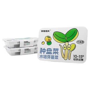 作物生长芽苗菜盘种植套装可食用豌豆苗家用水培微型蔬菜健康好种