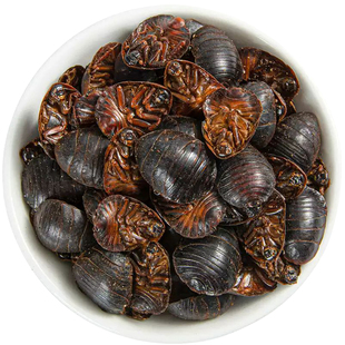 土元中药材500g中药正品土鳖虫土元虫土元干地鳖虫中草药土鳖虫粉