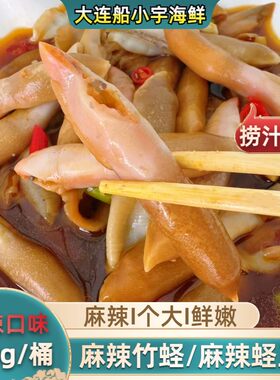 船小宇麻辣蛏子王 麻辣竹蛏  捞汁蛏王 550g/桶  新鲜制作