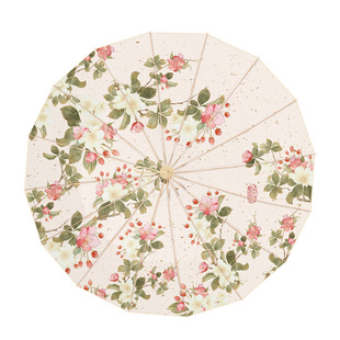 雨伞大号双人伞太阳伞防晒防紫外线遮阳伞晴雨两用女生高颜值折叠