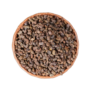 中国药典标准正品女贞子中药饮片精选正宗药用女贞子中药材抓配