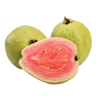 新鲜台湾红心番石榴5斤健身水果捞当季树上熟酸野福建红心脆芭乐