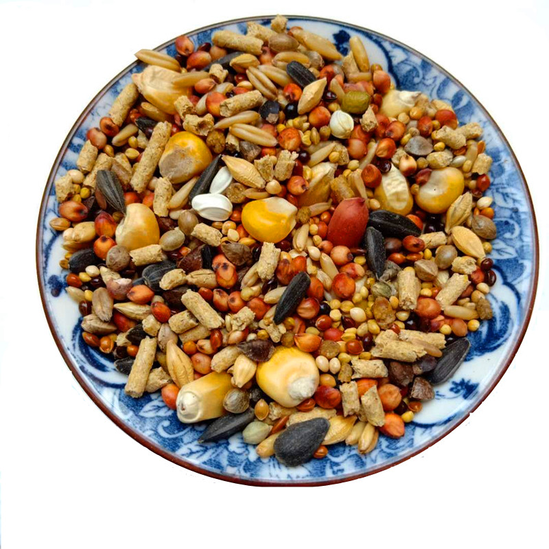 七彩山鸡媒饲料提性壮膘电解多维增色丰羽媒坯送面包虫野鸡煤粮食