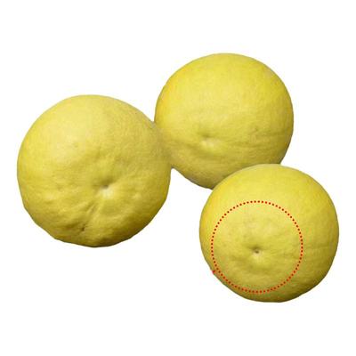 富硒柚子老树江永香柚纯甜无酸