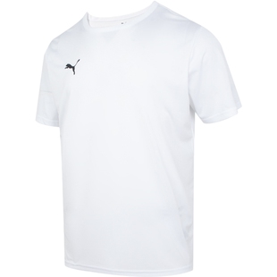 PUMA彪马快干短袖男子春季新款足球跑步运动服透气训练T恤706132