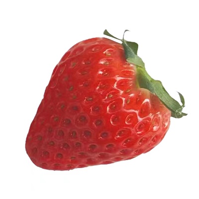 上海青浦红颜草莓高品质秒杀丹东