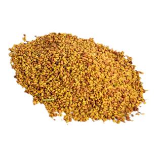 紫花苜蓿草种籽多年生牧草种子四季养殖喂牛羊鸡鸭鹅草鱼牧草种籽