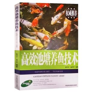 正版高效池塘养鱼技术鱼病鉴别快速诊断防治疗全书科学生态养鱼淡水鱼类水产养殖技术书籍大全一本通池塘建设亲鱼繁育饲养管理教程