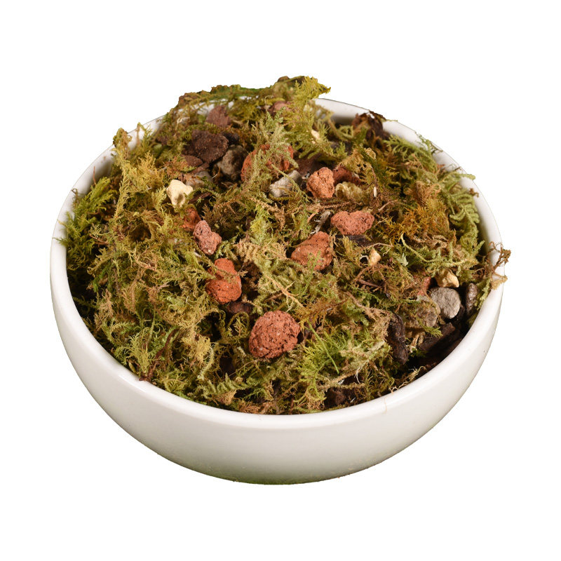 蝴蝶兰专用松鳞树皮水苔混合植料