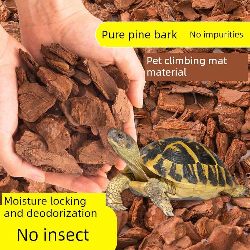 爬行动物宠物垫龟爬行动物箱松皮乌龟蜥蜴壁虎园林绿化森林地板表