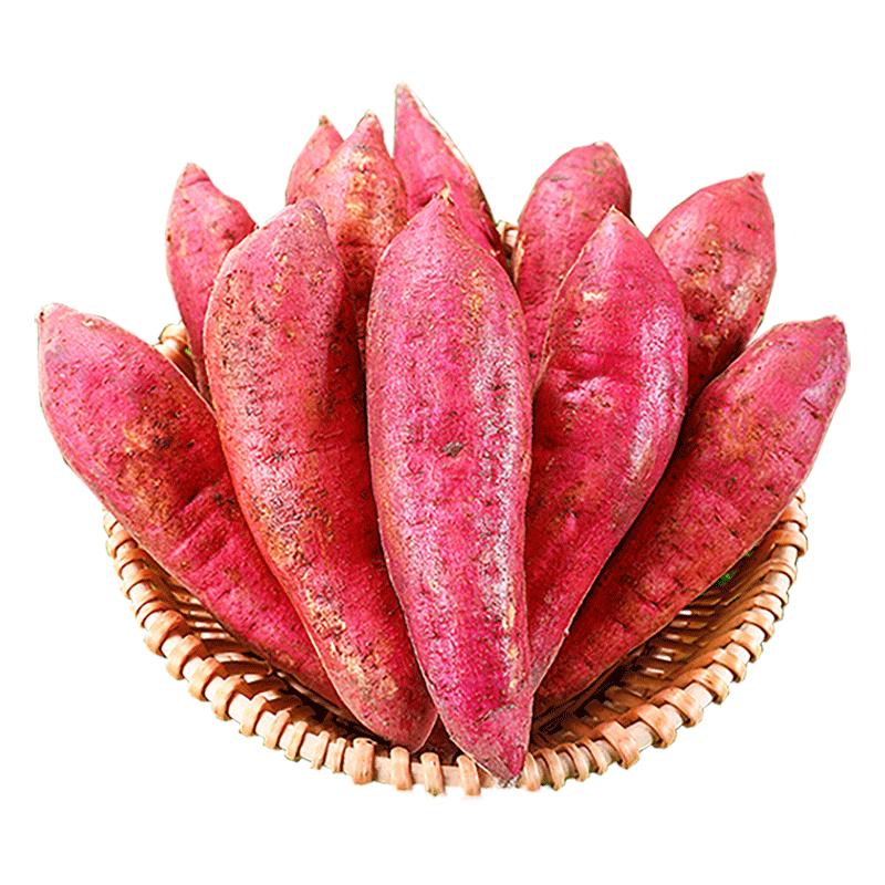 板栗红薯新鲜9斤农家自种粉糯