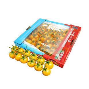 【一颗大】串番茄串收樱桃小西红柿甄选礼盒新鲜自然熟生吃水果