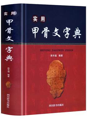 实用甲骨文字典精装硬壳