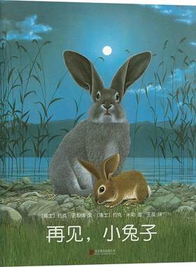 再见，小兔子 3-6-7-10岁 分级阅读书目 国际安徒生奖+德国青少年文学奖获奖者作品 积极 自由 森林大熊