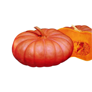 磨盘南瓜种子农家高产南瓜籽家庭盆栽甜面大南瓜种子蔬菜瓜果种