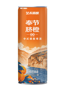 艺术精酿脐橙精酿啤酒