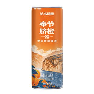 艺术精酿奉节脐橙中式小麦重庆原浆精酿啤酒果味整箱送礼灌装