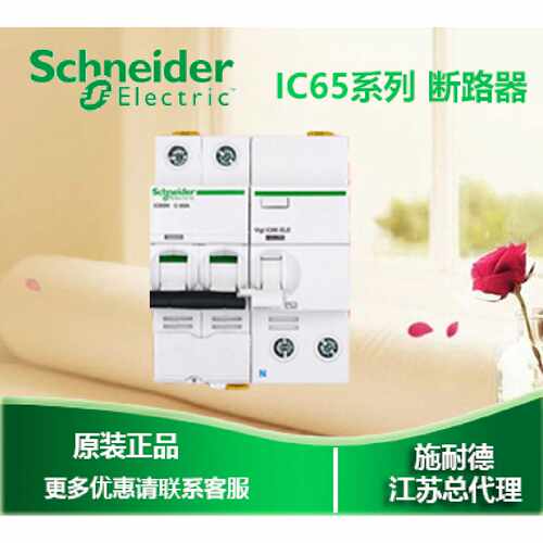漏电断路器2PC25A带漏电A9F18225A9V53240