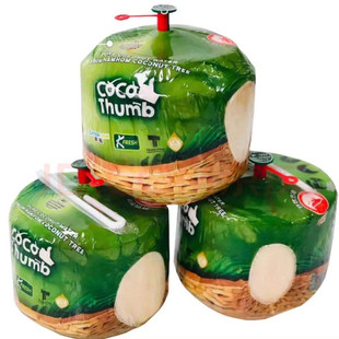 泰国椰子进口地雷椰易开宝网红Coco椰青新鲜 易拉罐孕妇6个礼盒装