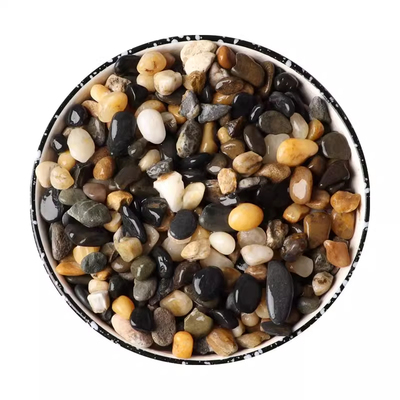 5斤天然鹅卵石原生溪流石鱼缸铺底砂装饰过滤造景小石子豆石养鱼