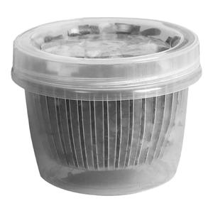 葱姜蒜收纳盒厨房冰箱葱花保鲜盒沥水圆形备菜盒水果食品专用密封