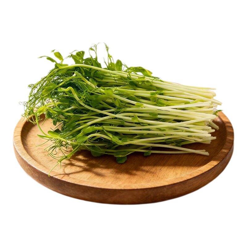 新鲜豌豆苗500g 水培碗豆尖芽苗菜嫩叶蔬菜沙拉轻食火锅凉拌食材