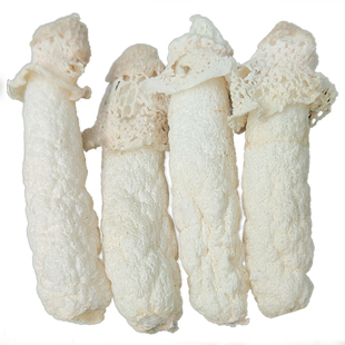 贵州织金竹荪干货竹笙竹参厚肉新鲜红托竹荪短裙竹孙干竹荪土特产