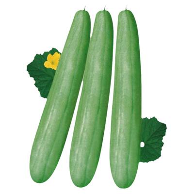 老品种菜瓜种子籽白皮青皮过路白