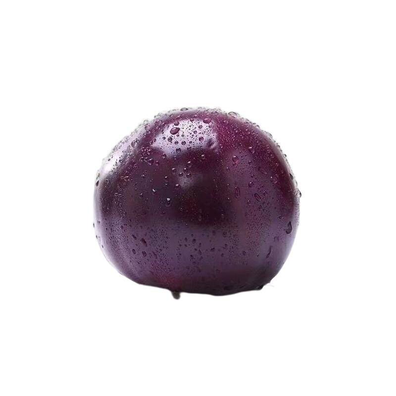 嫁接圆茄苗园茄苗秧四季盆栽