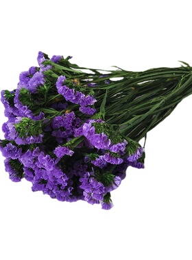 永生花勿忘我干花束DIY礼物