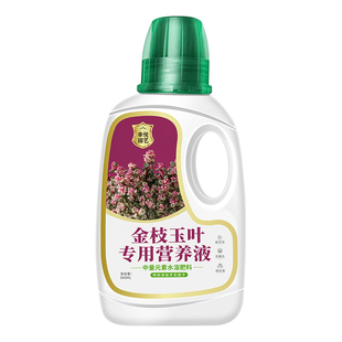 金枝玉叶专用肥防掉叶子金枝玉叶营养液马齿苋雅乐之舞盆栽肥料