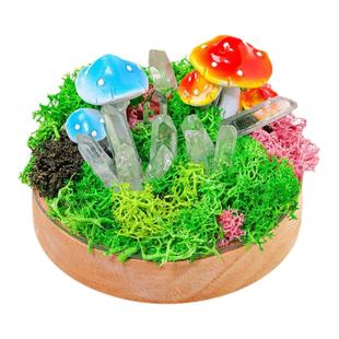 盐灯小夜灯卧室睡眠床头灯香薰水晶台灯高级感网红生日礼物氛围灯