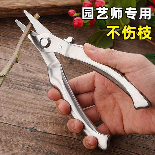 强力剪枝剪刀不锈钢园林修枝摘果园剪家用省力树枝花艺卉修花工具
