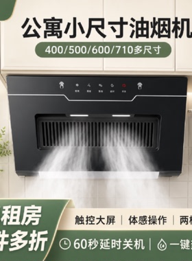 新飞小尺寸油烟机厨房家用侧吸窗式抽油烟机小型出租屋公寓大吸力