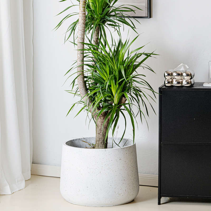 圆形水泥花盆酒杯镁泥花盆绿植盆栽简约户外阳台客厅百合竹龙血树