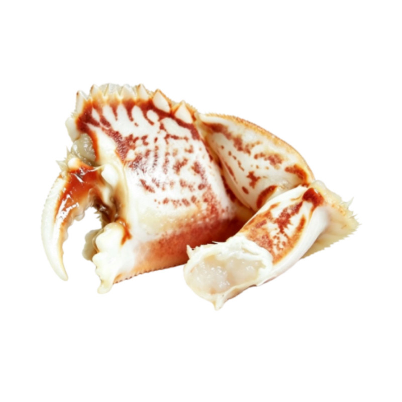 【7年老店】5斤超大虎纹蟹脚蟹钳