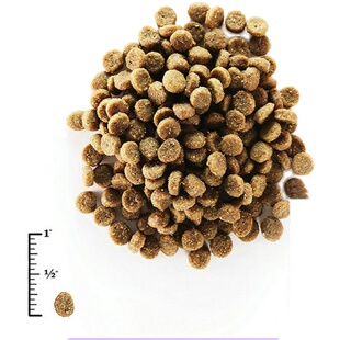 进口现货 金装 素力高 金素无谷成猫粮 幼猫全猫粮12磅 金丽高