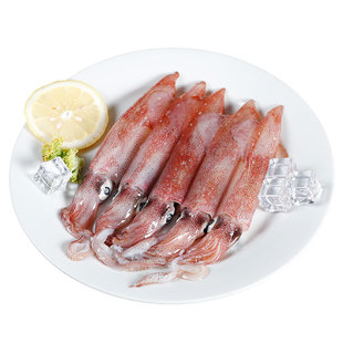 活冻笔管鱼新鲜冷冻母体带籽海兔子鲜活速冻鱿鱼海鲜火锅食材批发