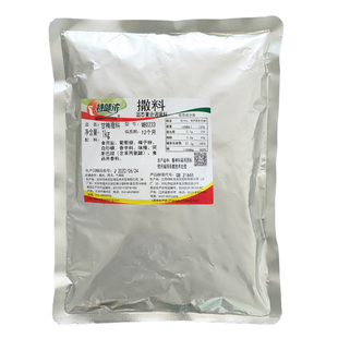特味浓甘梅粉撒料1kg 台湾大鸡排烧烤调料鸡排地瓜红薯条