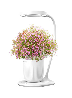 4D BIOS四维生态智能鲜花种植机家居水培花器桌面摆件花卉瓶礼品