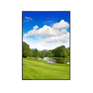 高尔夫球场挂画GOLF室内俱乐部装饰画运动球场休息室明星海报壁画