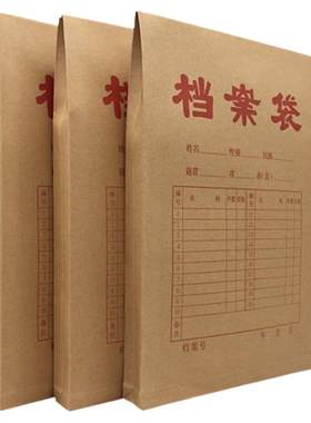 50100档案袋进口加厚A4办公用品