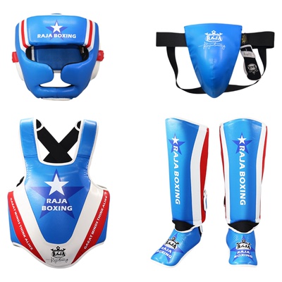 RAJA儿童拳击护具比赛训练专用