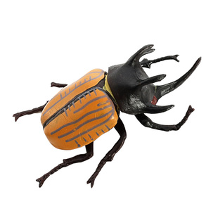 儿童玩具仿真动物昆虫模型蜜蜂蚊子独角仙蝴蝶蚂蚱草蜢蟋蟀螳螂虫