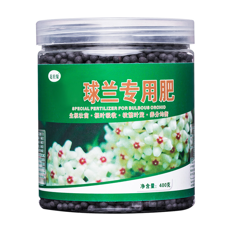 球兰肥料促生长开花减少病害