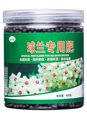 球兰肥料促生长开花减少病害