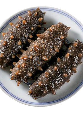 鲜活海参解冻即食独立包装