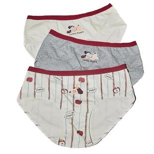 Gukoo/果壳情侣内裤春夏轰轰小狗本命年新款纯棉裆底女士内裤组合