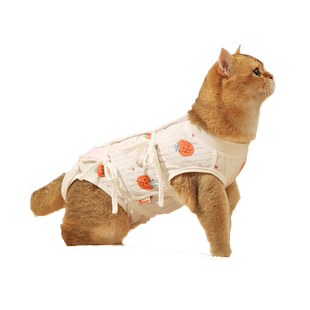 猫咪绝育服纯棉母猫断奶绑带猫猫防舔术后手术服公猫母狗宠物衣服
