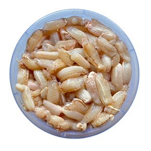 真 蟹脚肉 大号 新鲜钳蟹腿肉螃蟹肉梭子海蟹肉棒宝宝辅食海鲜1kg